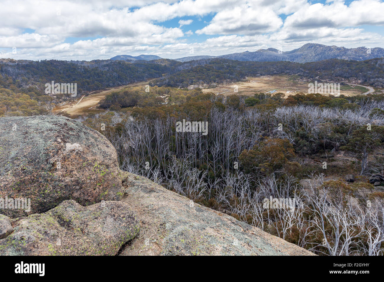High mountain plateau covered with native bush, Victoria, Australia Stock Photo