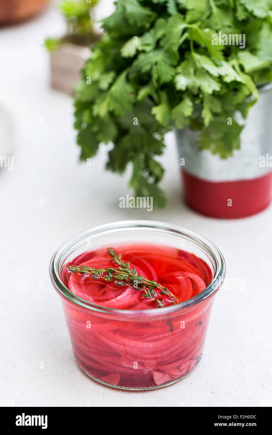 A jar of pickled red onions with thyme leaves is on a picnic table. Stock Photo