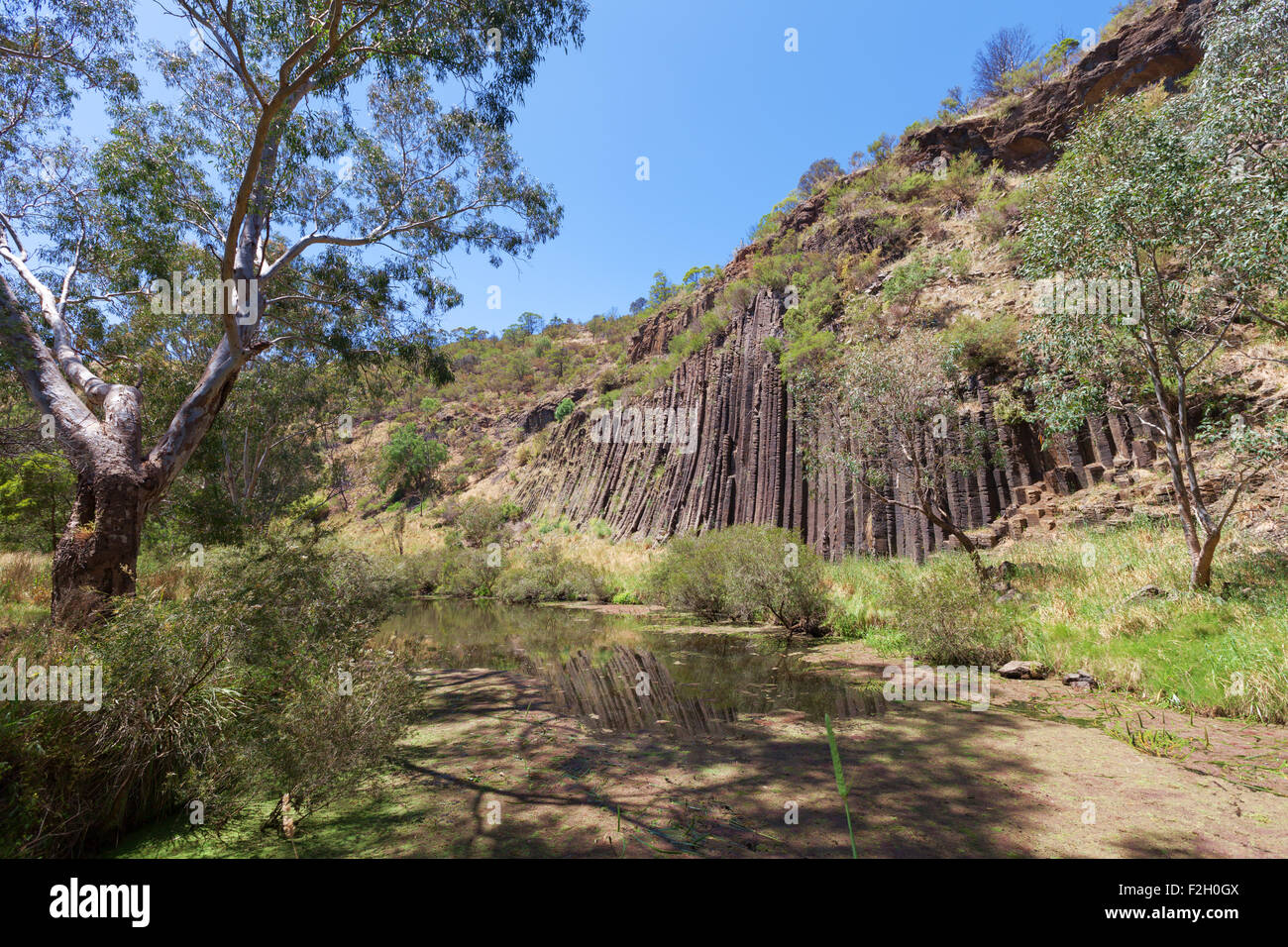 Organ pipes rock formation at national park, Australia Stock Photo Alamy
