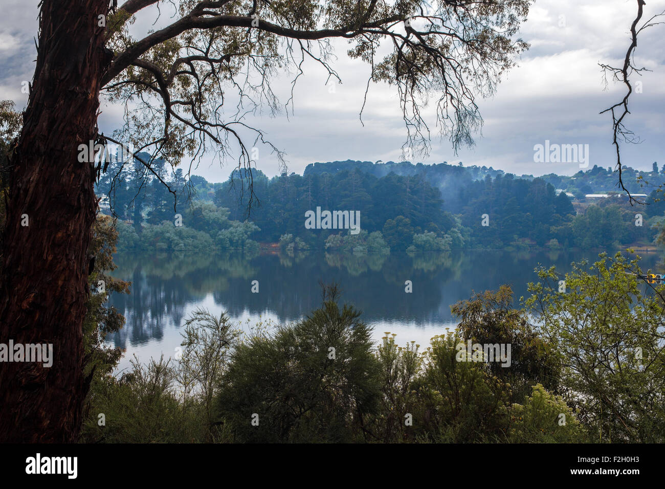 Australia lake rain forest hi-res stock photography and images - Alamy