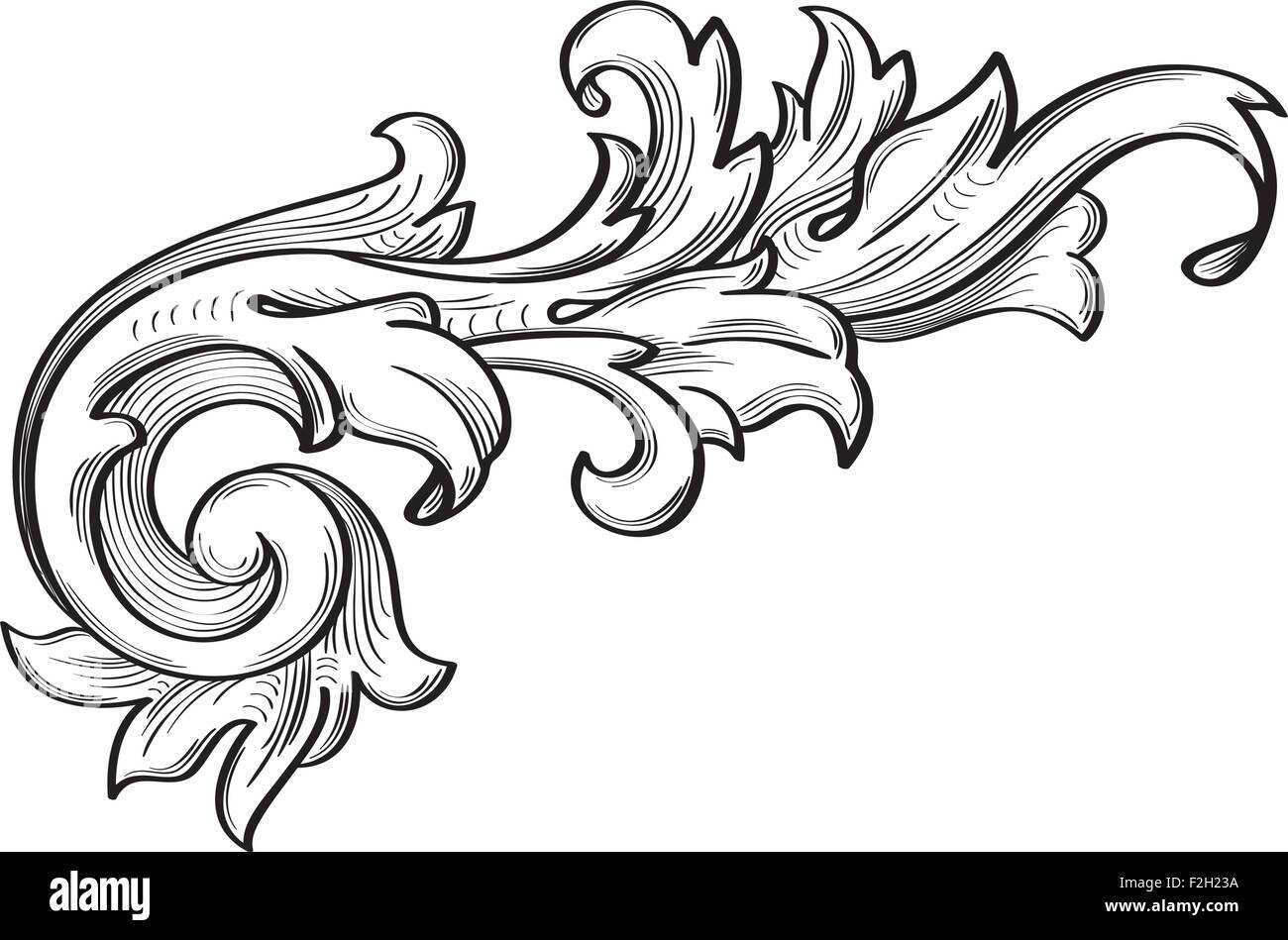 The fine acanthus pattern is on white Stock Vector Image & Art - Alamy