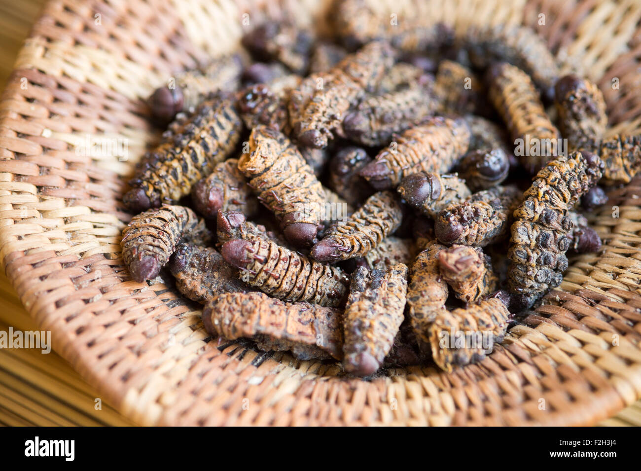 Handwoven bowl  of  Edible Mopane worms (Gonimbrasia belina) in Botswana, Africa Stock Photo