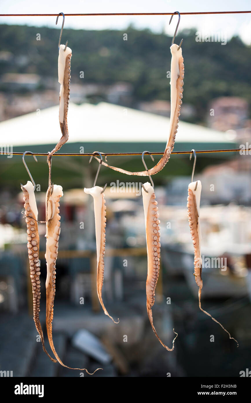 Octopus tied on rope and boats Stock Photo - Alamy