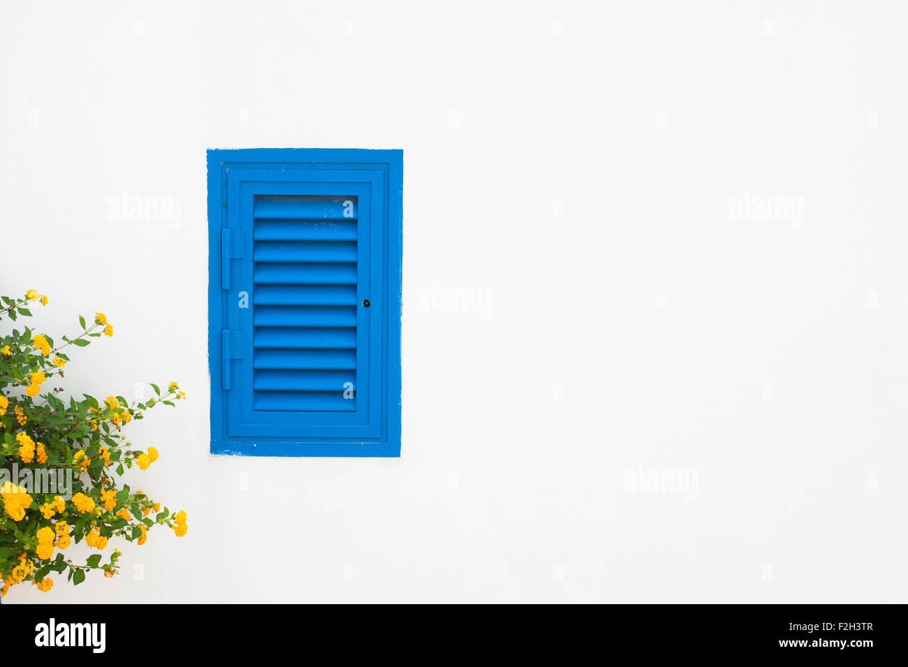 Little blue shutter window and yellow flowers on white wall with copyspace Stock Photo