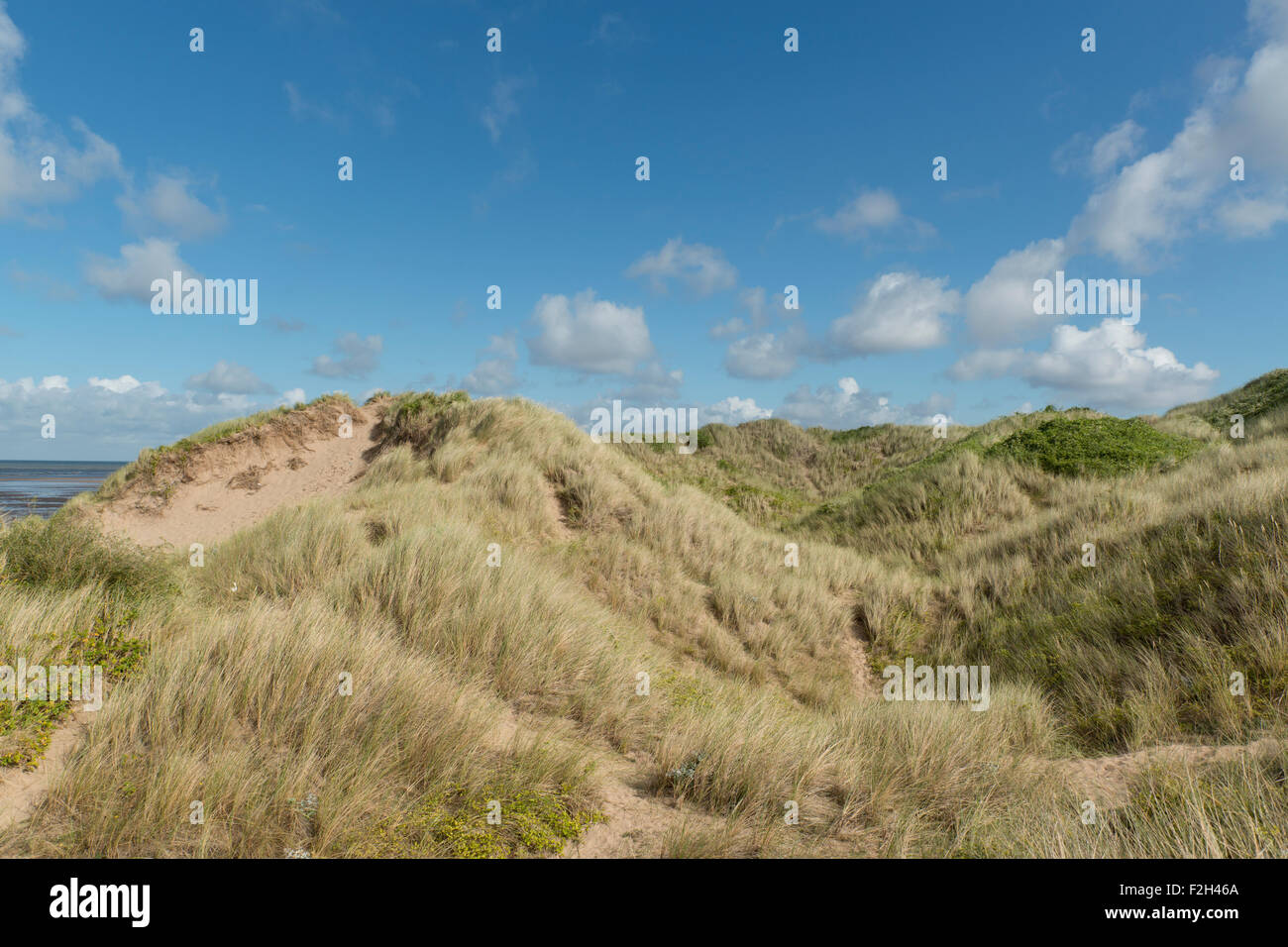 The wildlife conservation site at Gronant dunes in Flintshire, close to Prestatyn in Denbighshire. Stock Photo