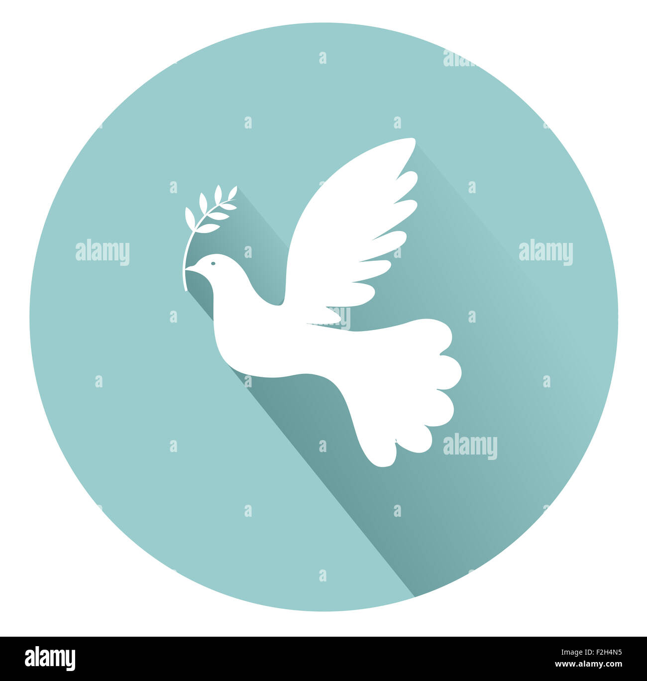 Peace dove with olive branch Stock Photo