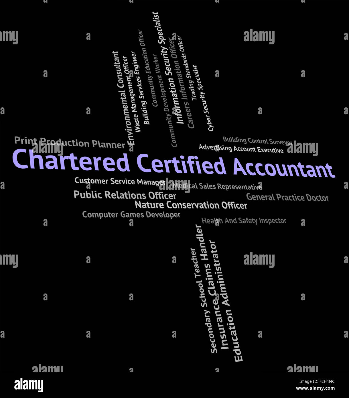 Chartered Accountant Pictures  Download Free Images on Unsplash