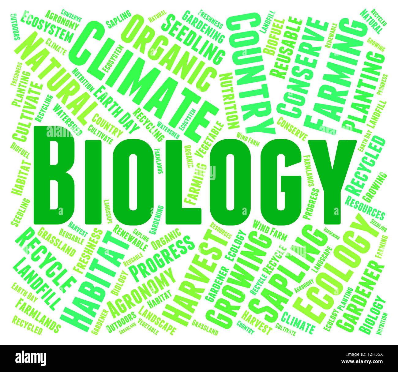 Biology word hi-res stock photography and images - Alamy