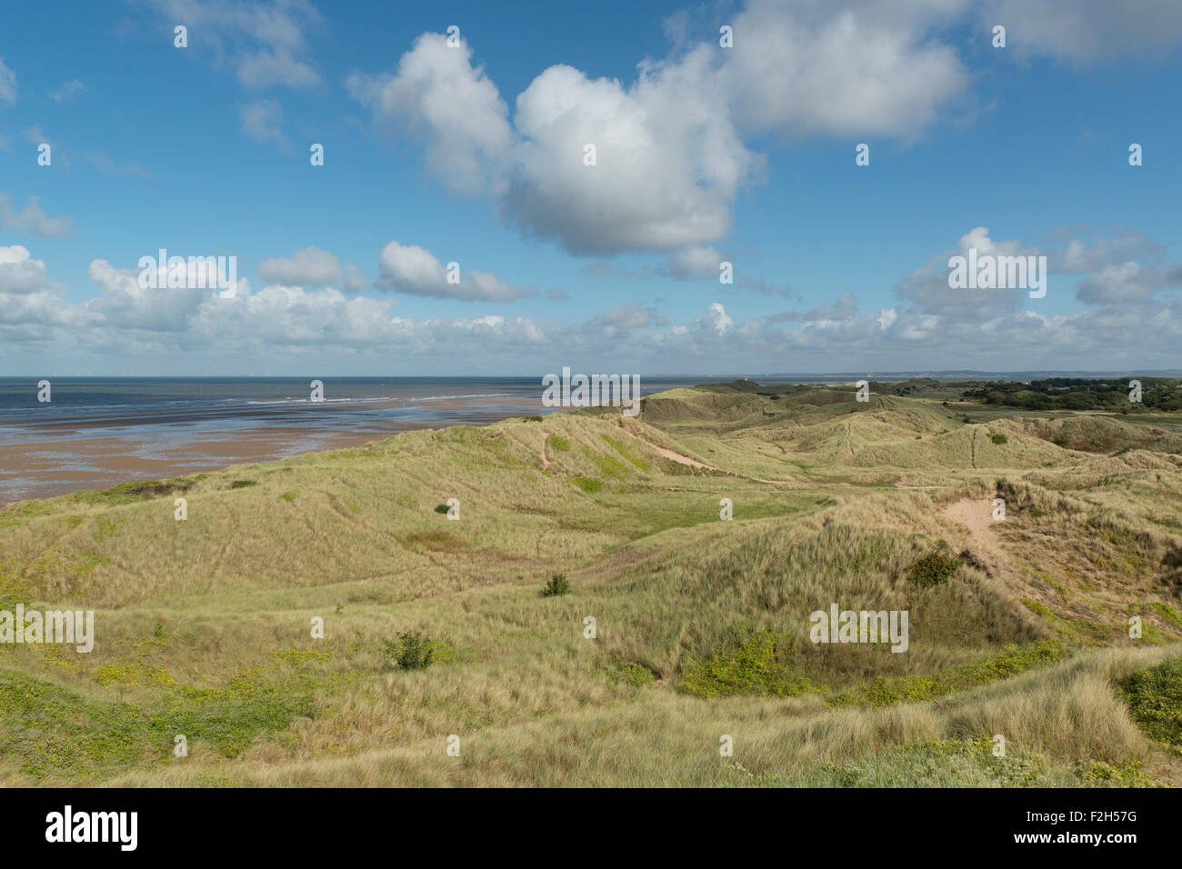The wildlife conservation site at Gronant dunes in Flintshire, close to Prestatyn in Denbighshire. Stock Photo