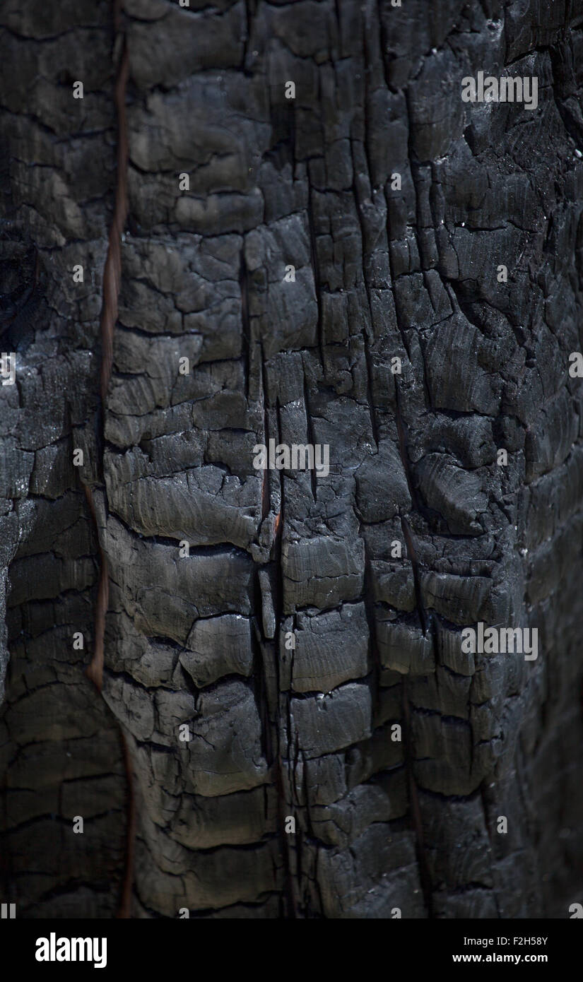 Burned boards hires stock photography and images Alamy