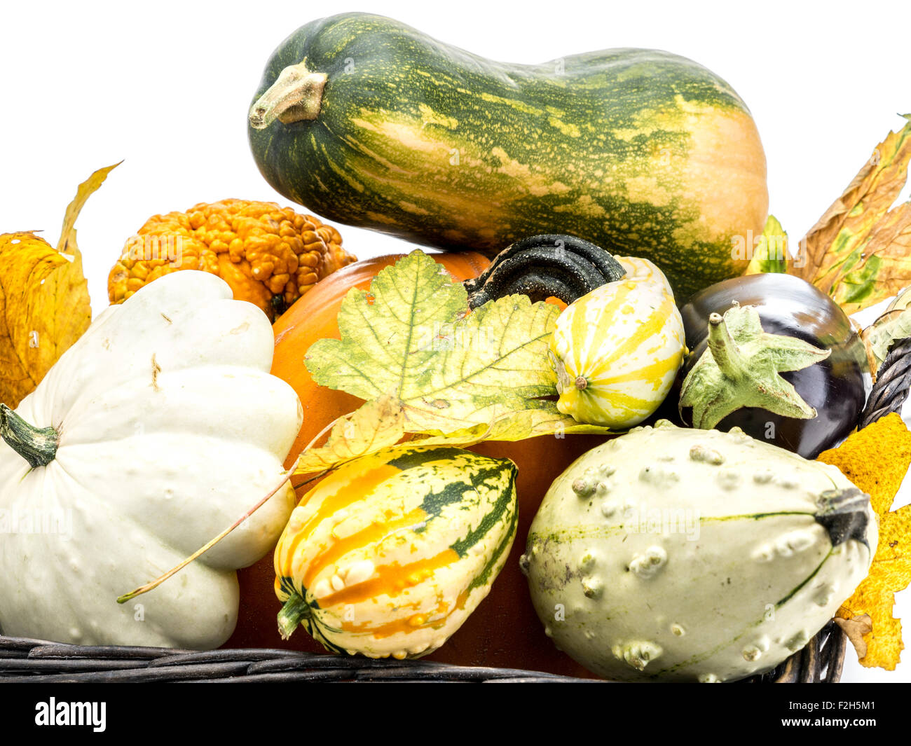 Composition of pumpkin, zucchini,summer squashes, and dead maple leaves on white background Stock Photo