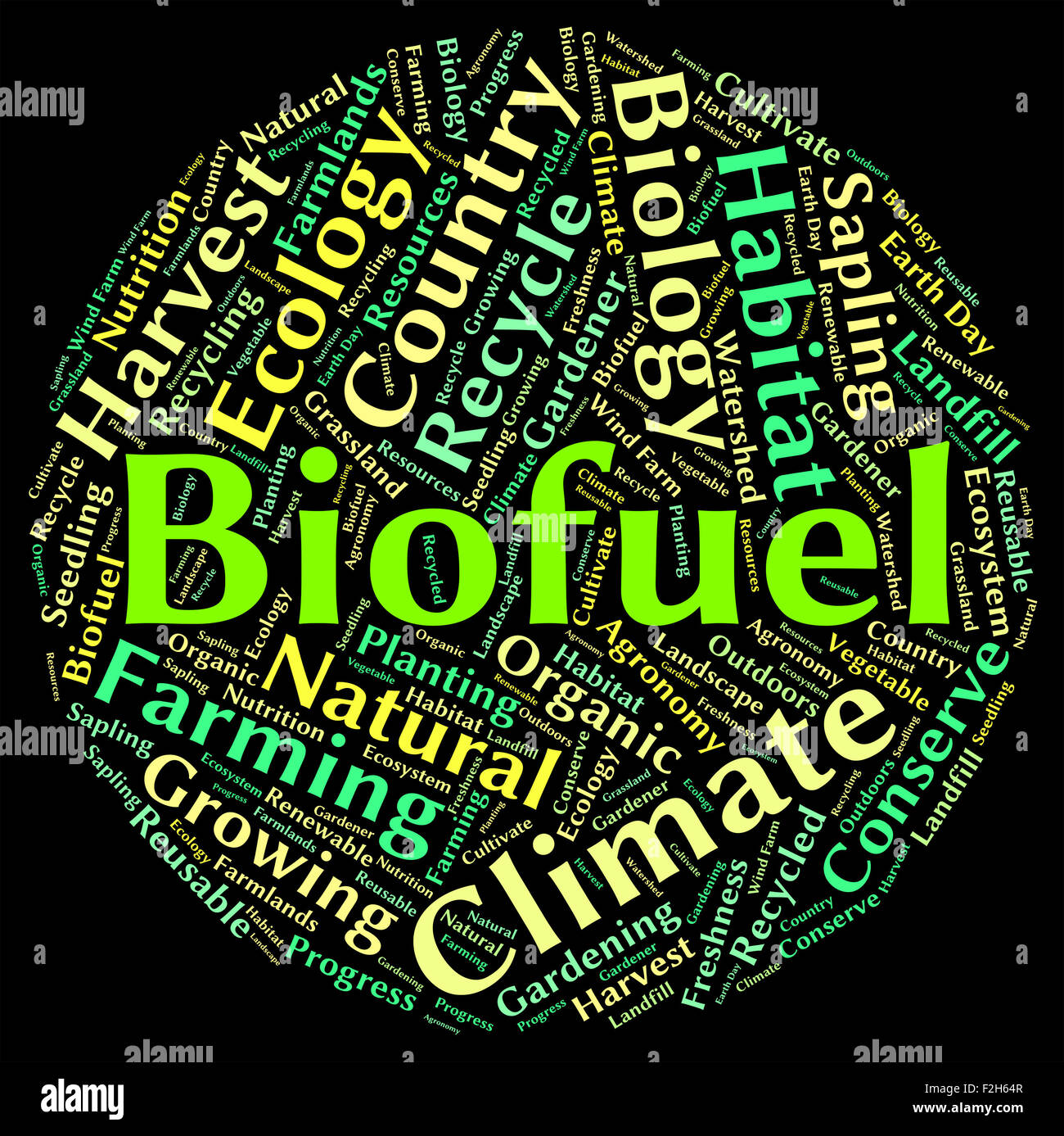 Biofuel Word Indicating Power Source And Words Stock Photo - Alamy