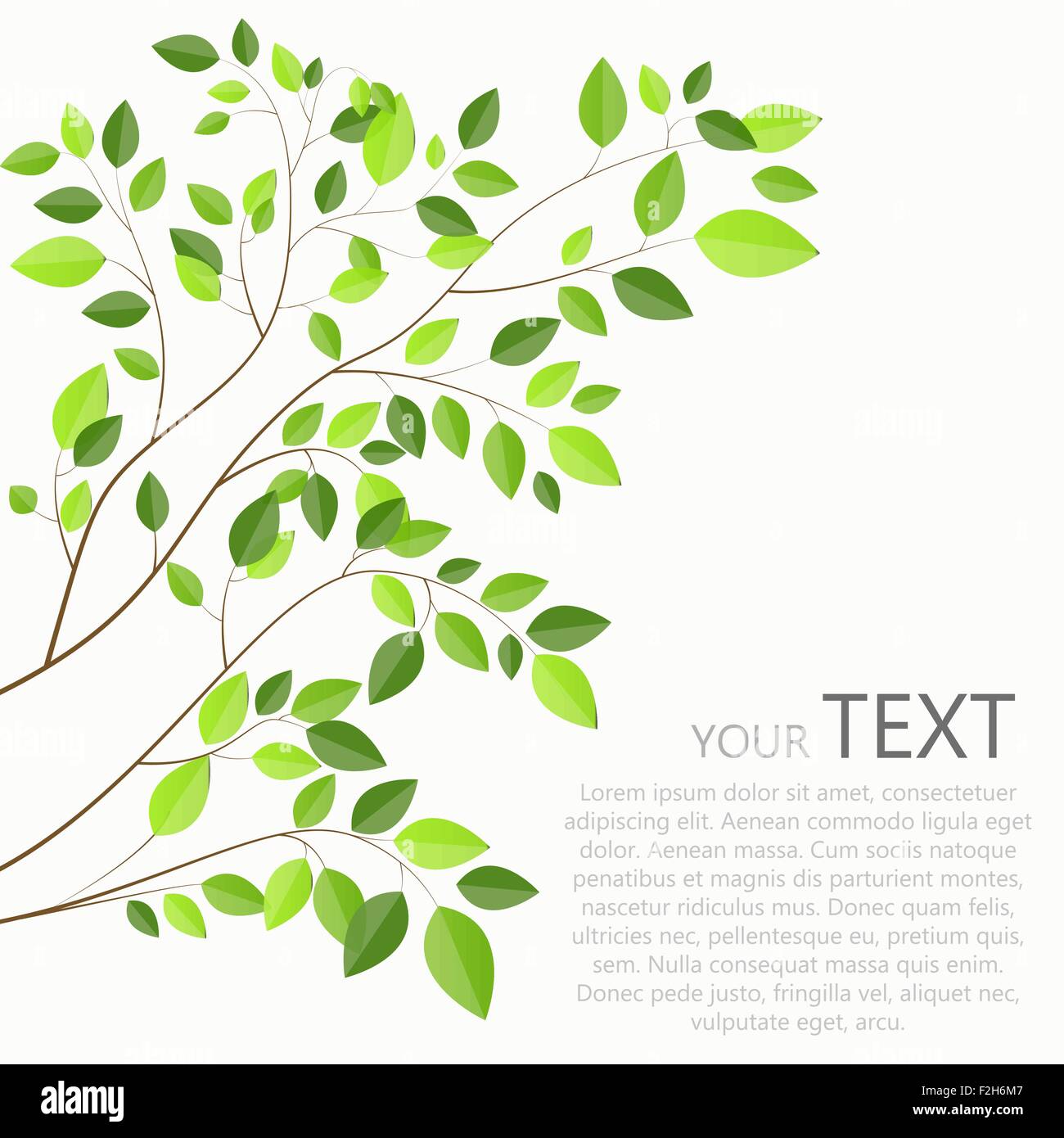 Beautiful Green Tree on a White Background Vector Illustration Stock ...