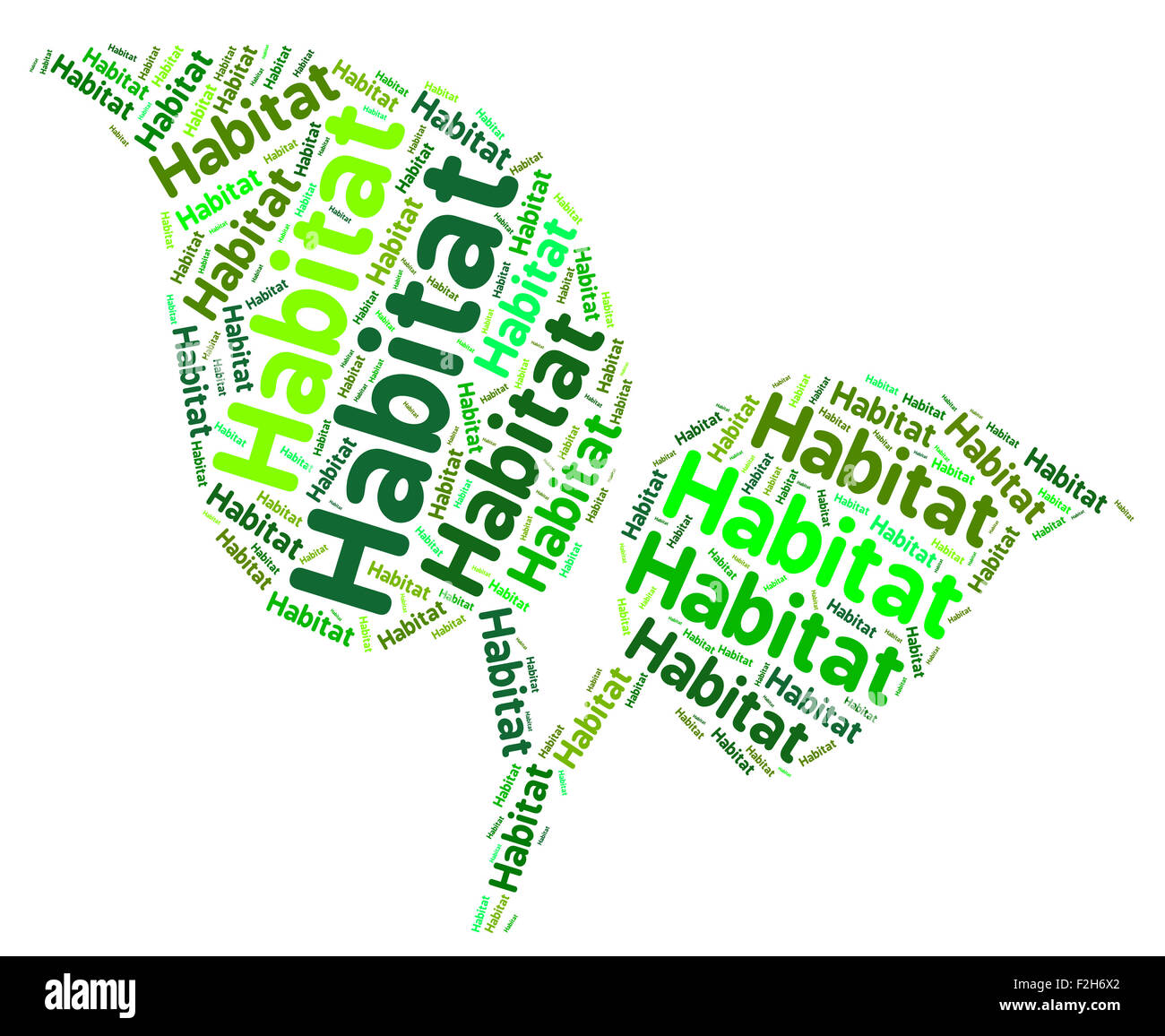 Habitat Word Showing Habitation Household And Territory Stock Photo