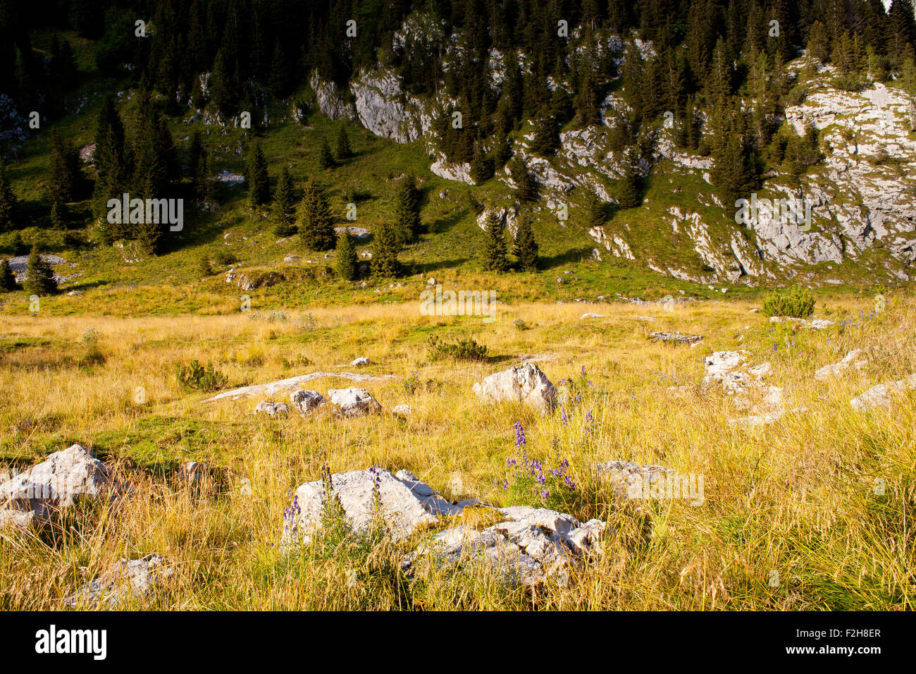 View of Krn mountain, Slovenian julian alps Stock Photo