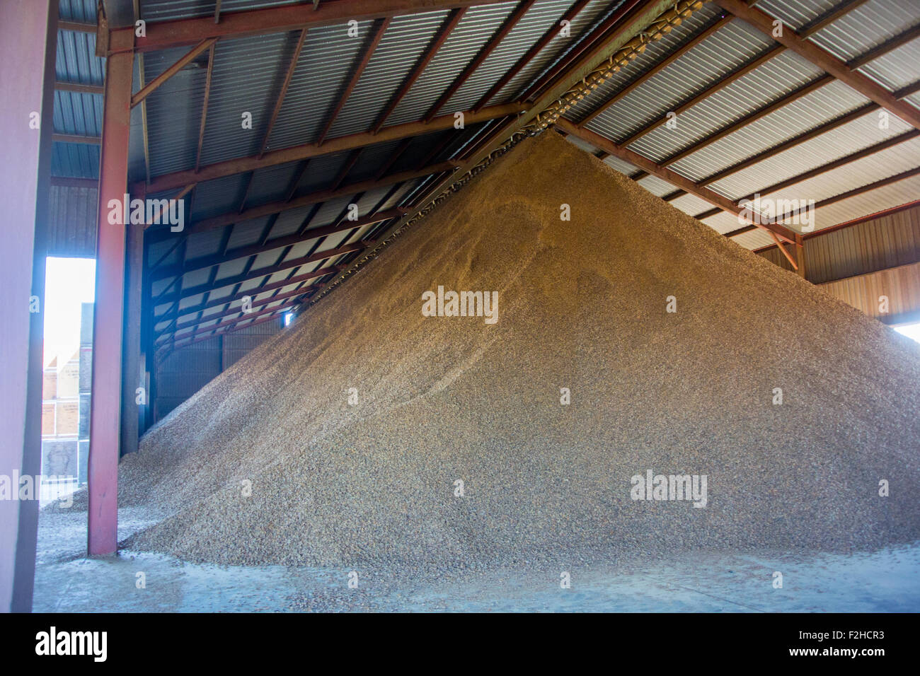 Almond Hulls ready to sell Stock Photo Alamy