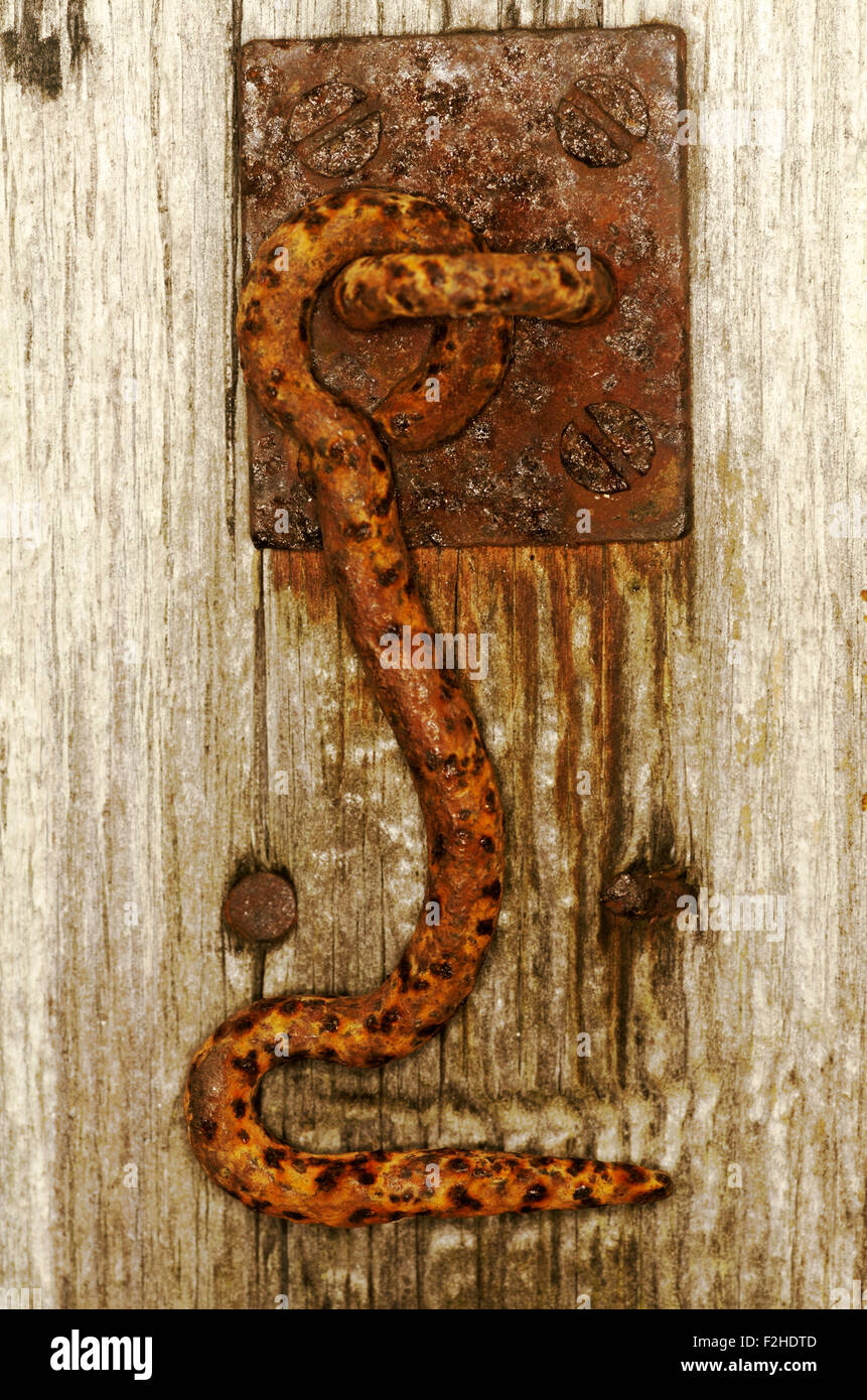 Rusty metal hook on wooden door Stock Photo