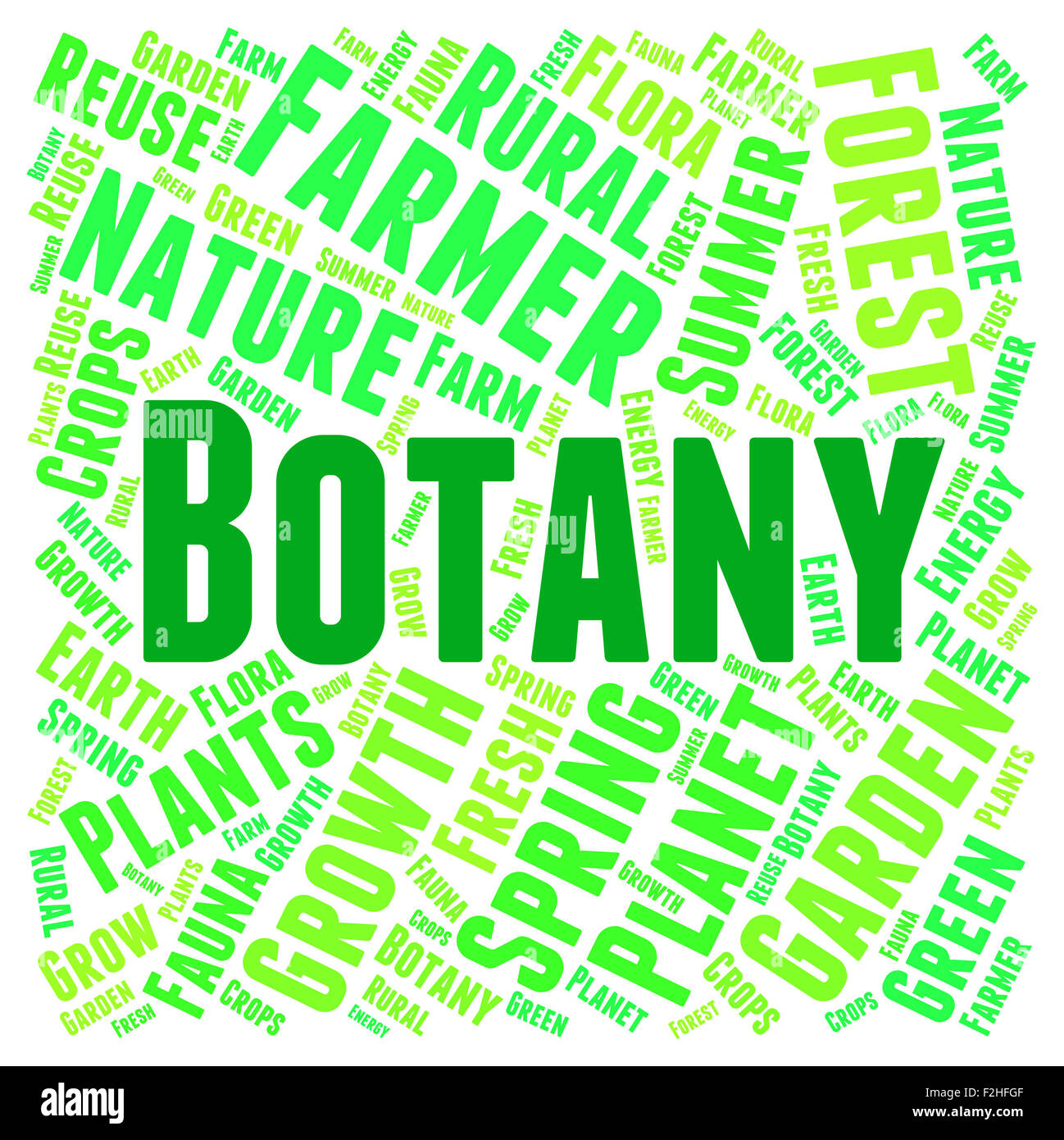 Botany Word Representing Plant Life And Education Stock Photo Alamy