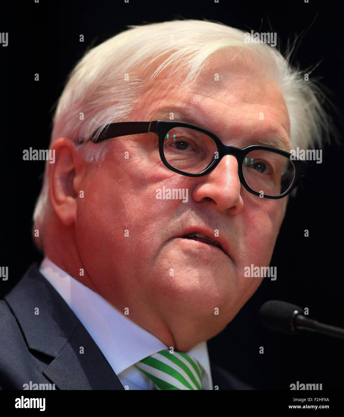 Magdeburg, Germany. 19th Sep, 2015. German Foreign Minister Frank-Walter Steinmeier speaks during a Saxony-Anhalt state convention of German party SPD at Kulturwerk Fichte in Magdeburg, Germany, 19 September 2015. Photo: Jens Wolf/dpa/Alamy Live News Stock Photo