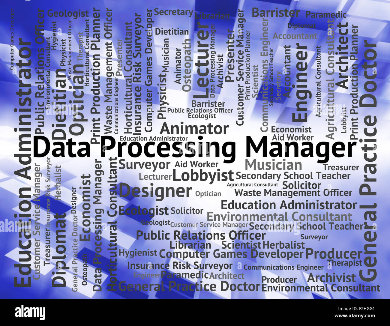 Data Processing Manager Indicating Principal Management And Career ...