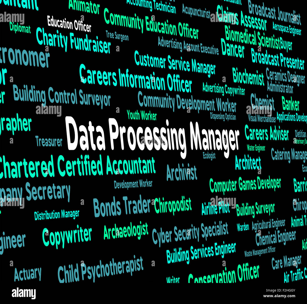 Data Processing Manager Showing Employment Jobs And Principal Stock ...
