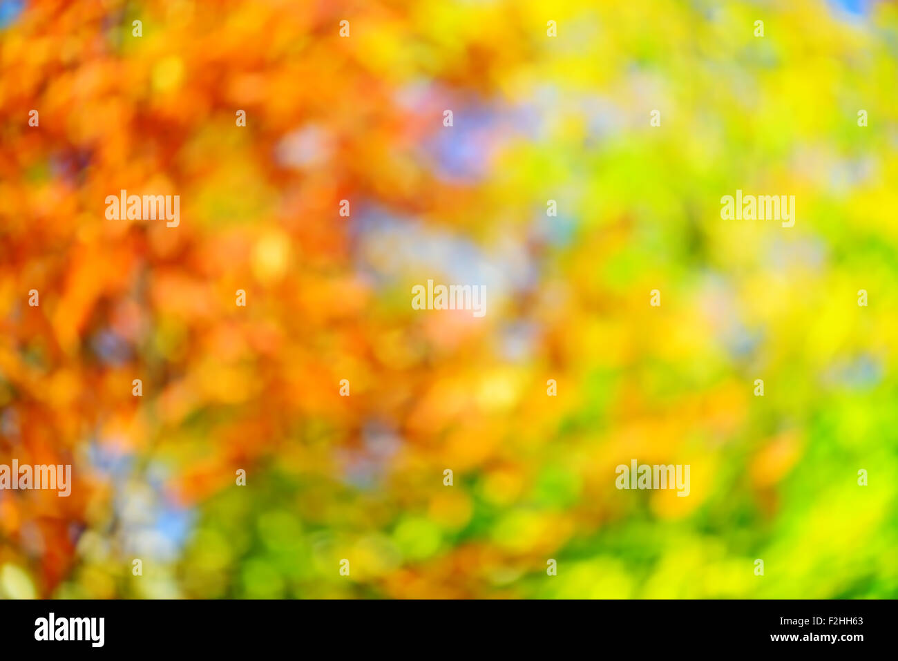 Abstract fall blur decorative background Stock Photo