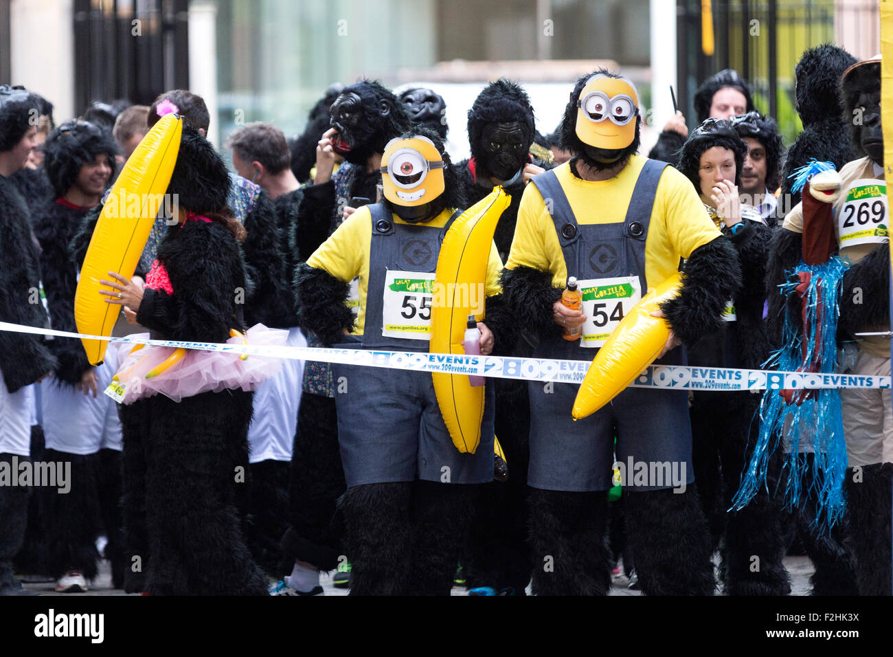 London, UK. 19th Sep 2015. The Great Gorilla Run a charity run in aid ...