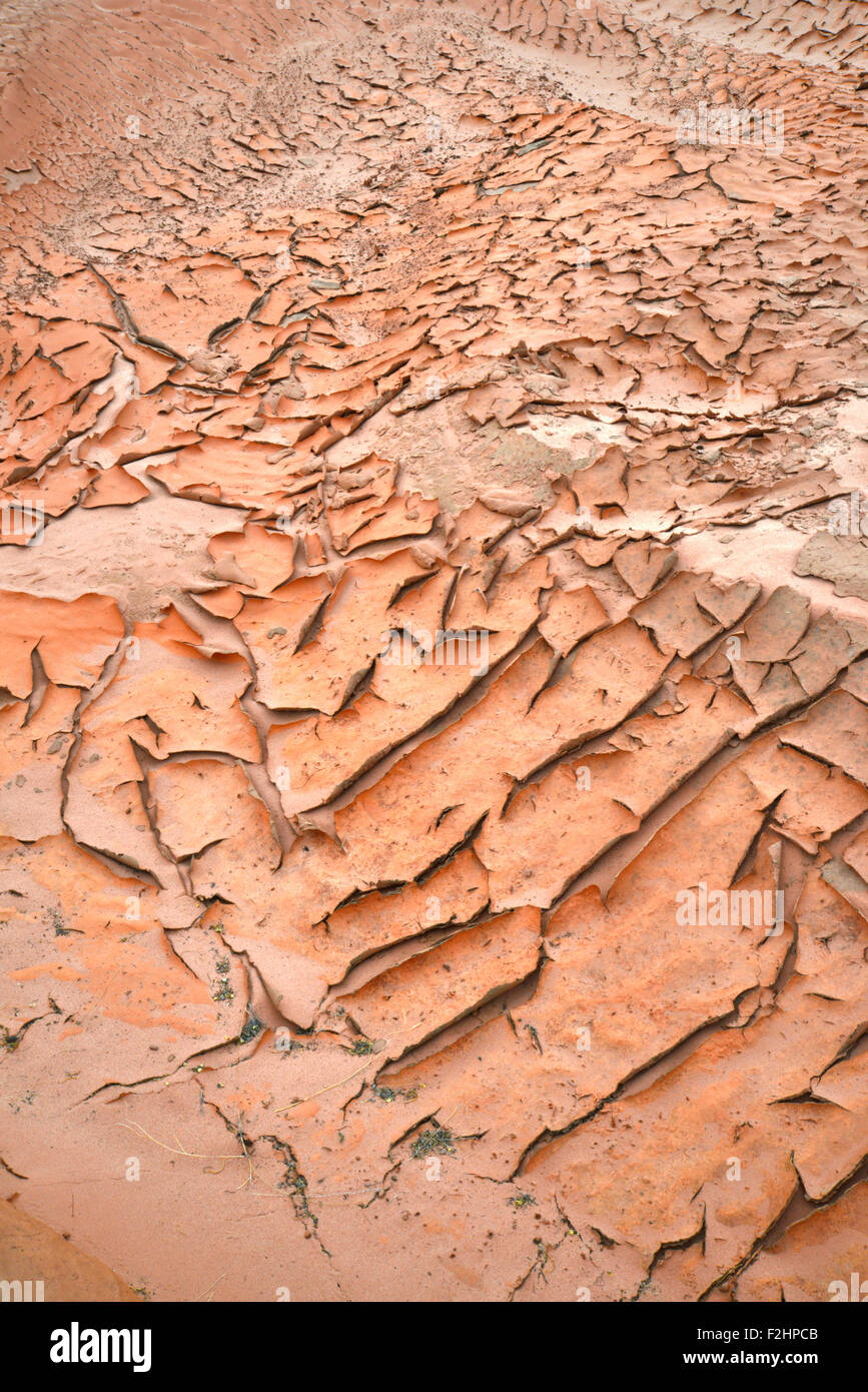 Dried mud in wash after storm in Valley of Fire State Park in Southeastern Nevada. Stock Photo