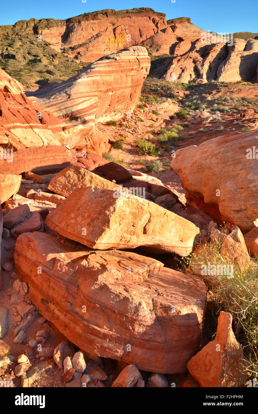 Colorful sandstone called the Fire Wave is everywhere in Valley of Fire State Park north of Las Vegas in Southeastern Nevada Stock Photo