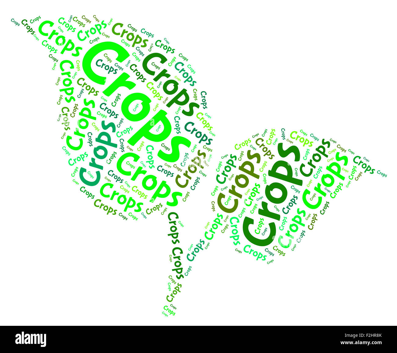 Crops Words Meaning Plant Yield And Produce Stock Photo Alamy