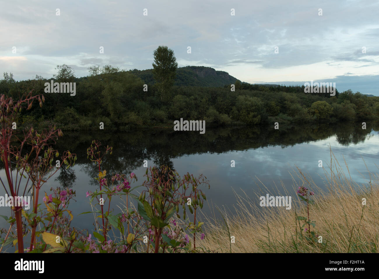 Downstream channel of River Tay,lower Friarton,Perth,Scotland,UK Stock