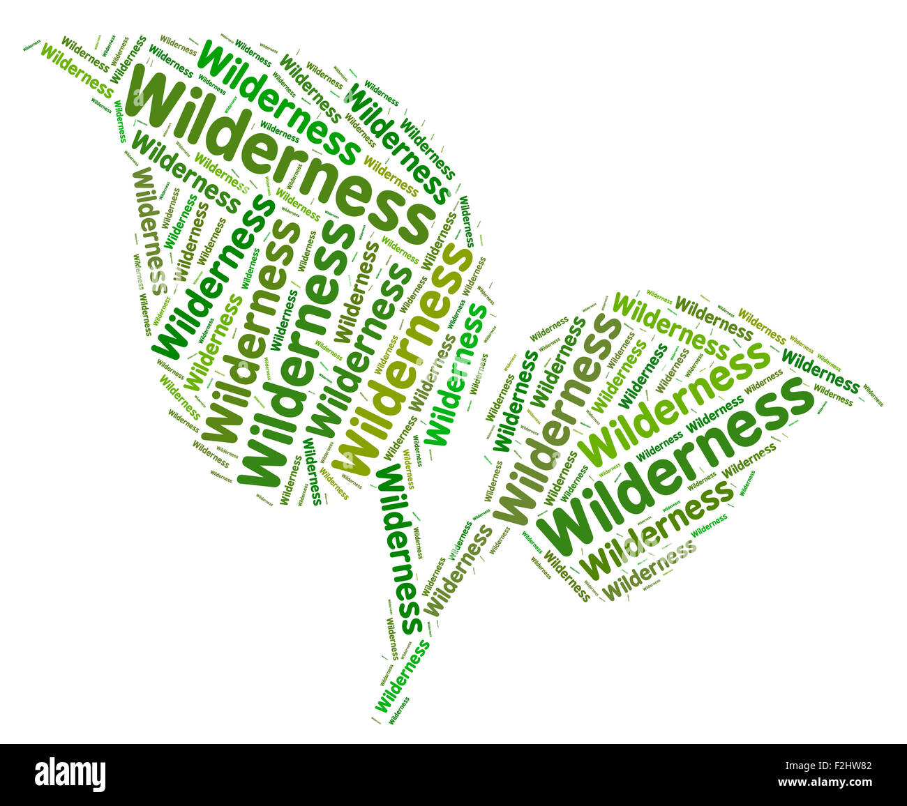 Wilderness Word Showing Uncultivated Land And Inhospitable Stock Photo