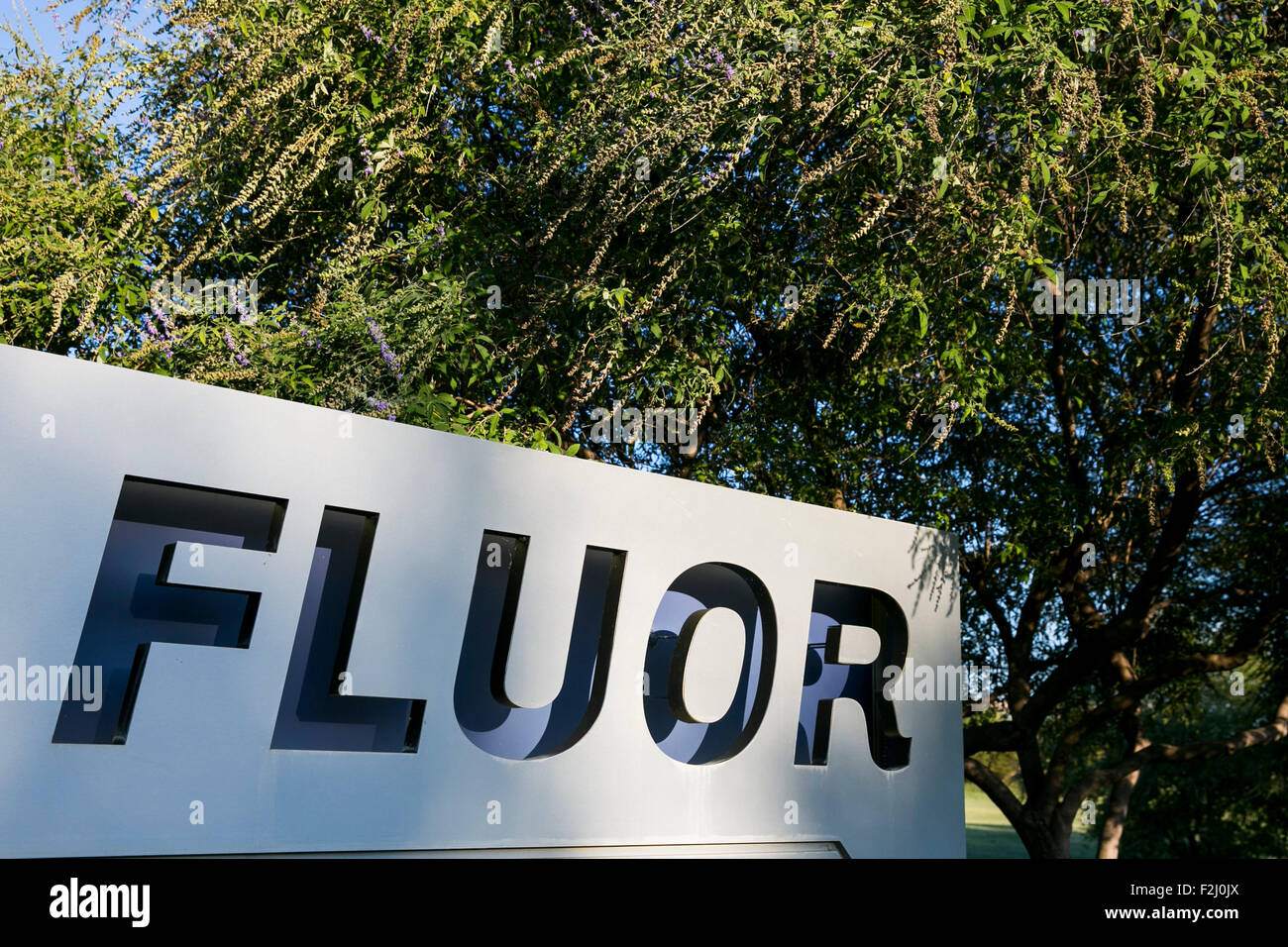 fluor logo