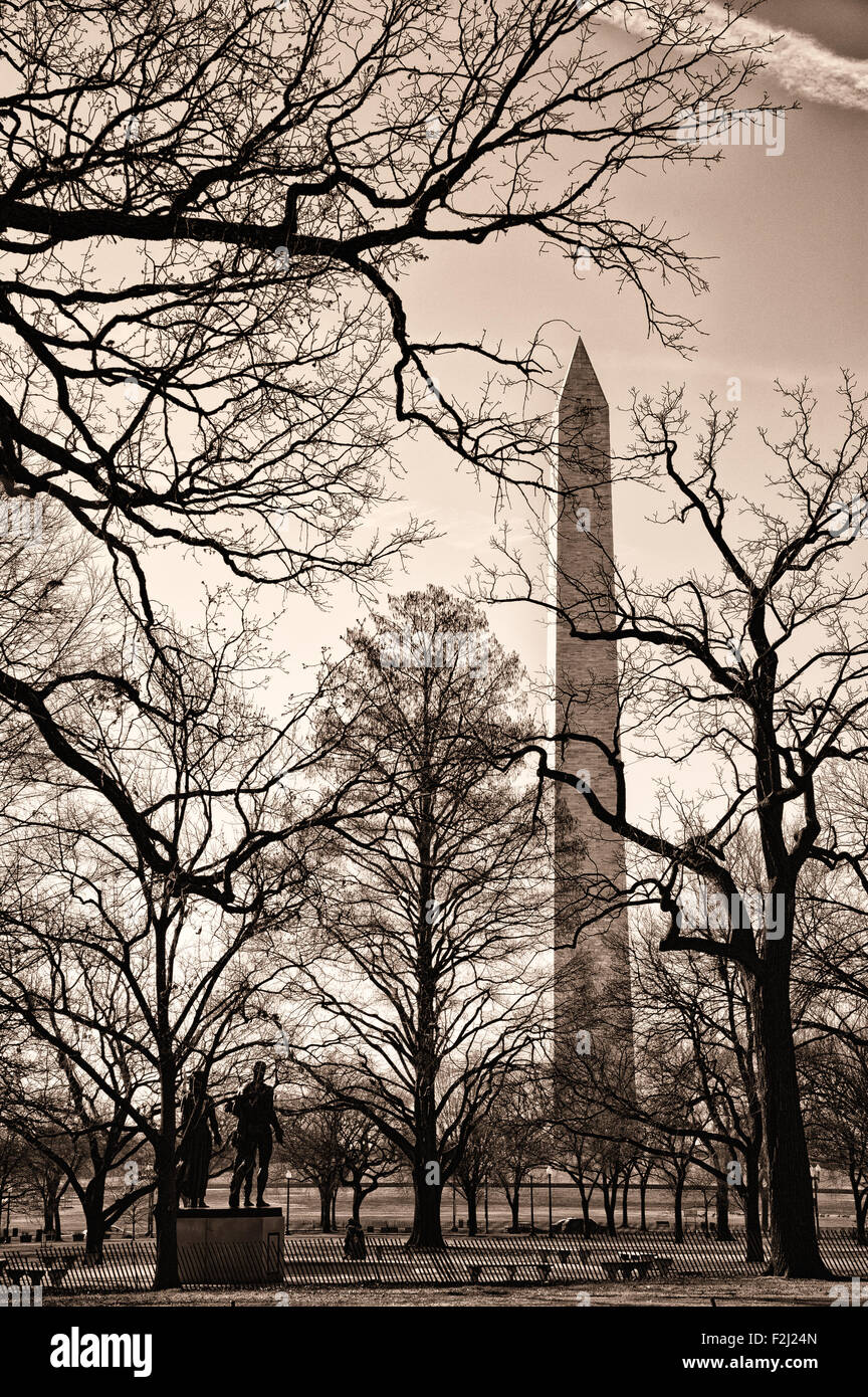 Washington Monument viewed through bare branched trees in park, Washington, D.C, U.S.A Stock