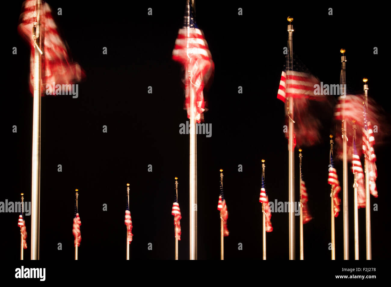American flags at night, Washington DC, USA Stock Photo