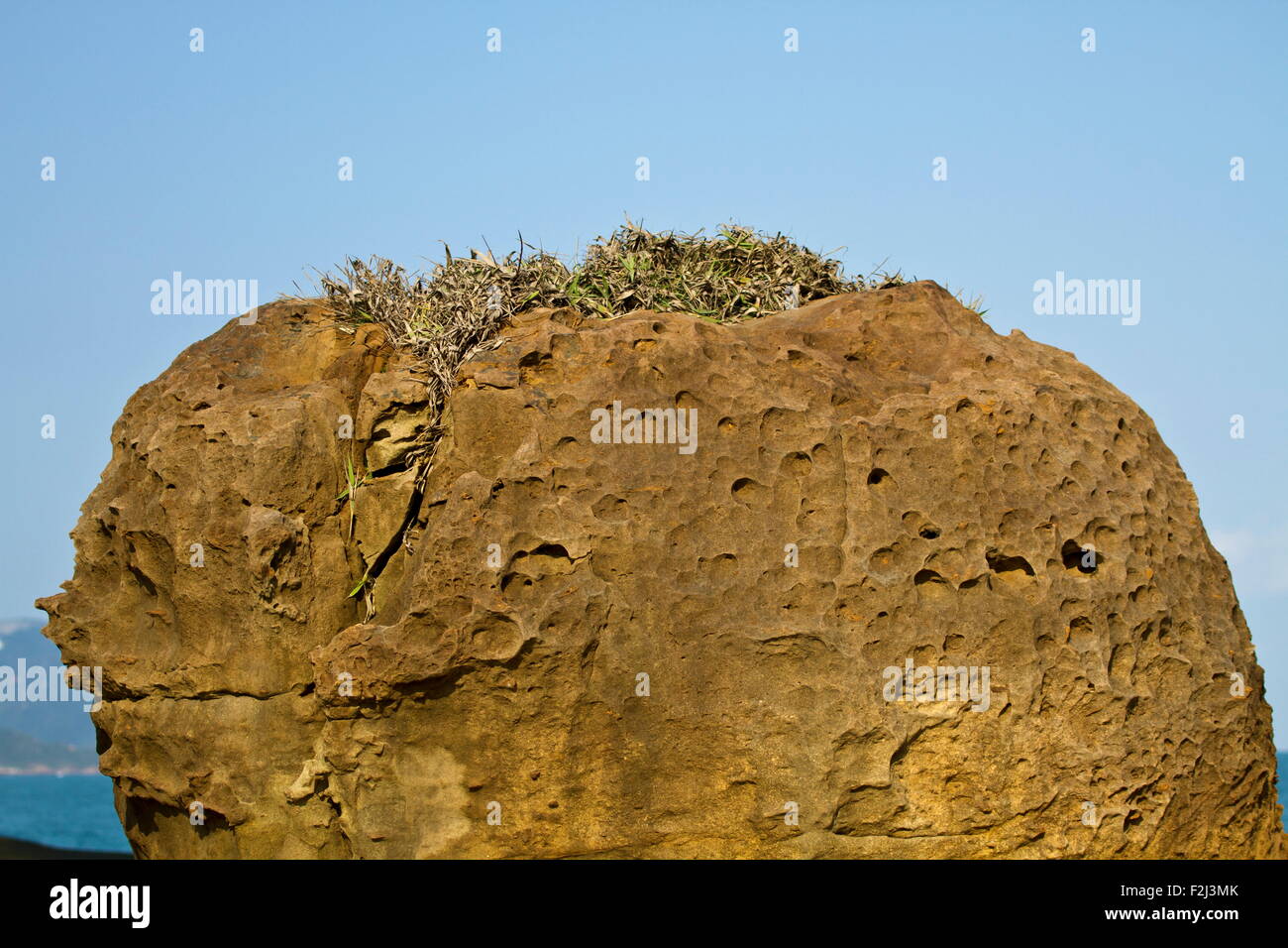 Geological formation of mushroom rock in Yehliu Geoparl in Taiwan Stock