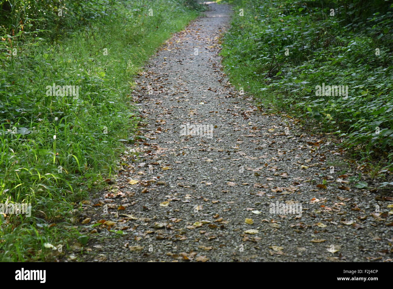 Empty paved walking path hi-res stock photography and images - Alamy