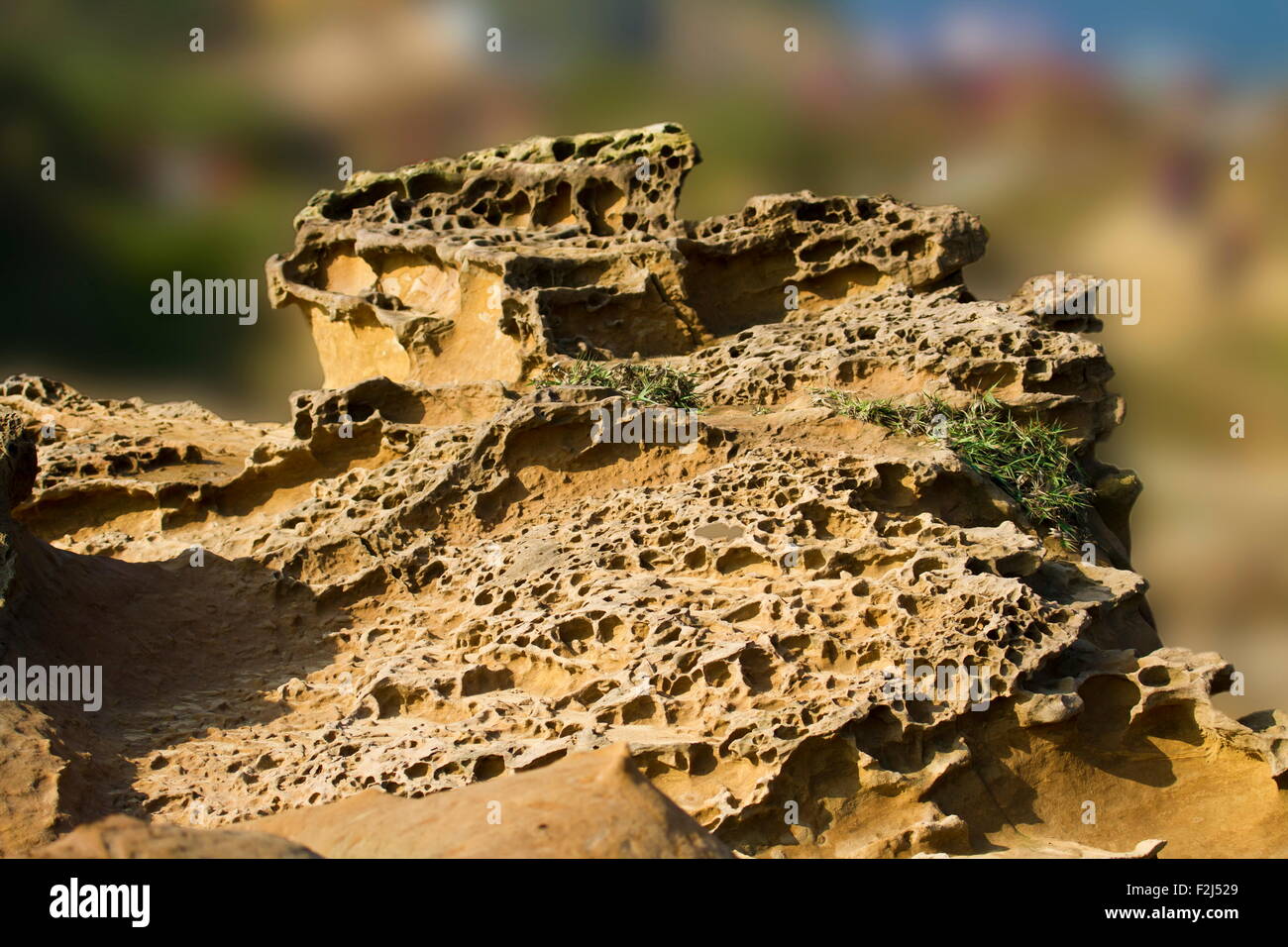 Geological formation of mushroom rock in Yehliu Geoparl in Taiwan Stock Photo