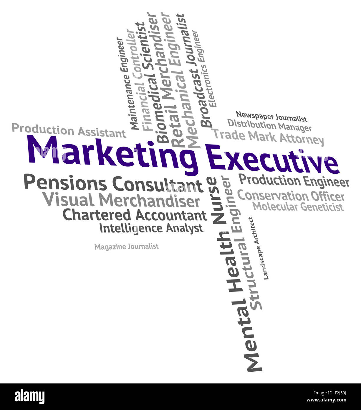 Marketing Executive Meaning Senior Administrator And Principal Stock Photo