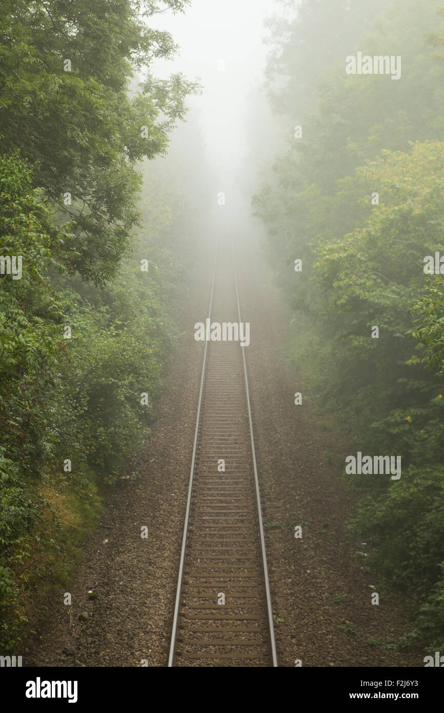Uk Weather Cardiff Awoke To A Heavy Layer Of Fog This Morning Sunday The 20th Of September A Cloudy Day Is Forecast With Temperatures Reaching 16 Uk Weather Cardiff Awoke To A Heavy Layer Of Fog This Morning Sunday The 20th Of September A Cloudy Day Is Forecast With Temperatures Reaching 16
