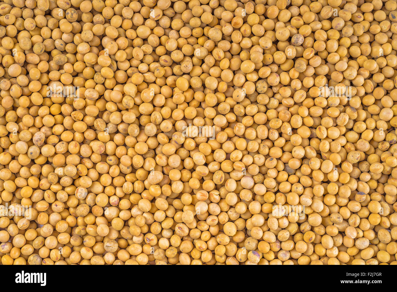 Soy bean as full frame texture, top view from above. Stock Photo