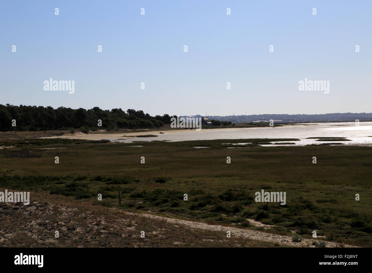 View over salt marshes from Pointe de Pen Bron, Guerande, Loire-Atlantique, France Stock Photo
