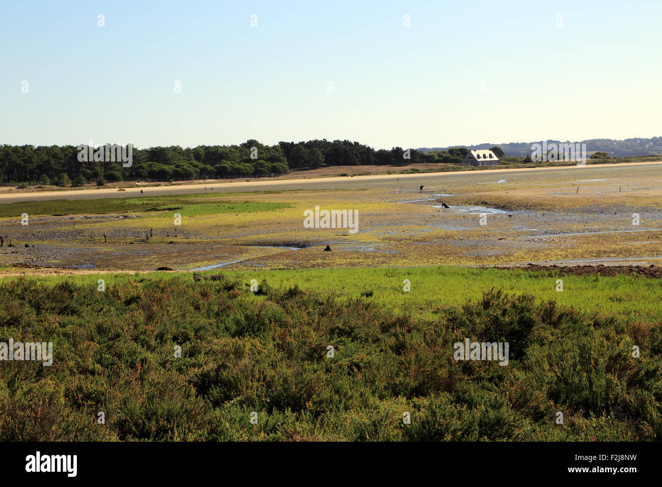 View over salt marshes from Pointe de Pen Bron, Guerande, Loire-Atlantique, France Stock Photo