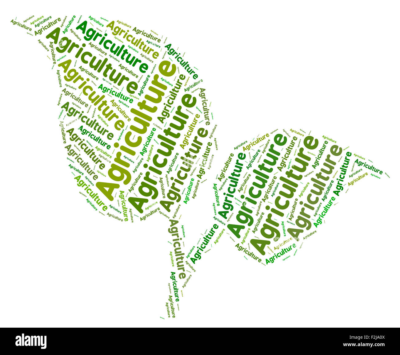 Agriculture Word Indicating Farmland Farmed And Farming Stock Photo Alamy