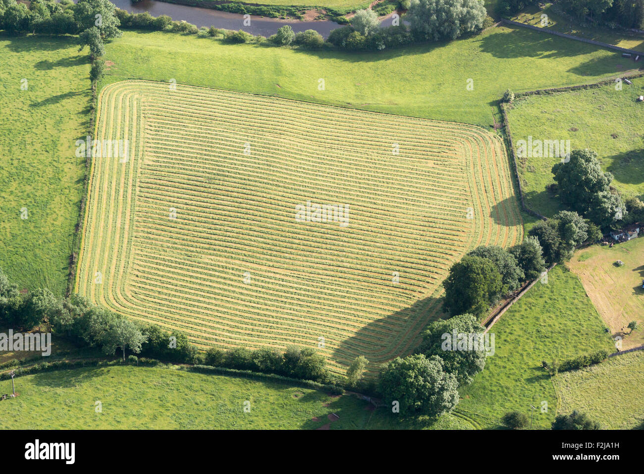 Aerial field of grass mowed for silage in Cumbrian countryside, UK. Stock Photo
