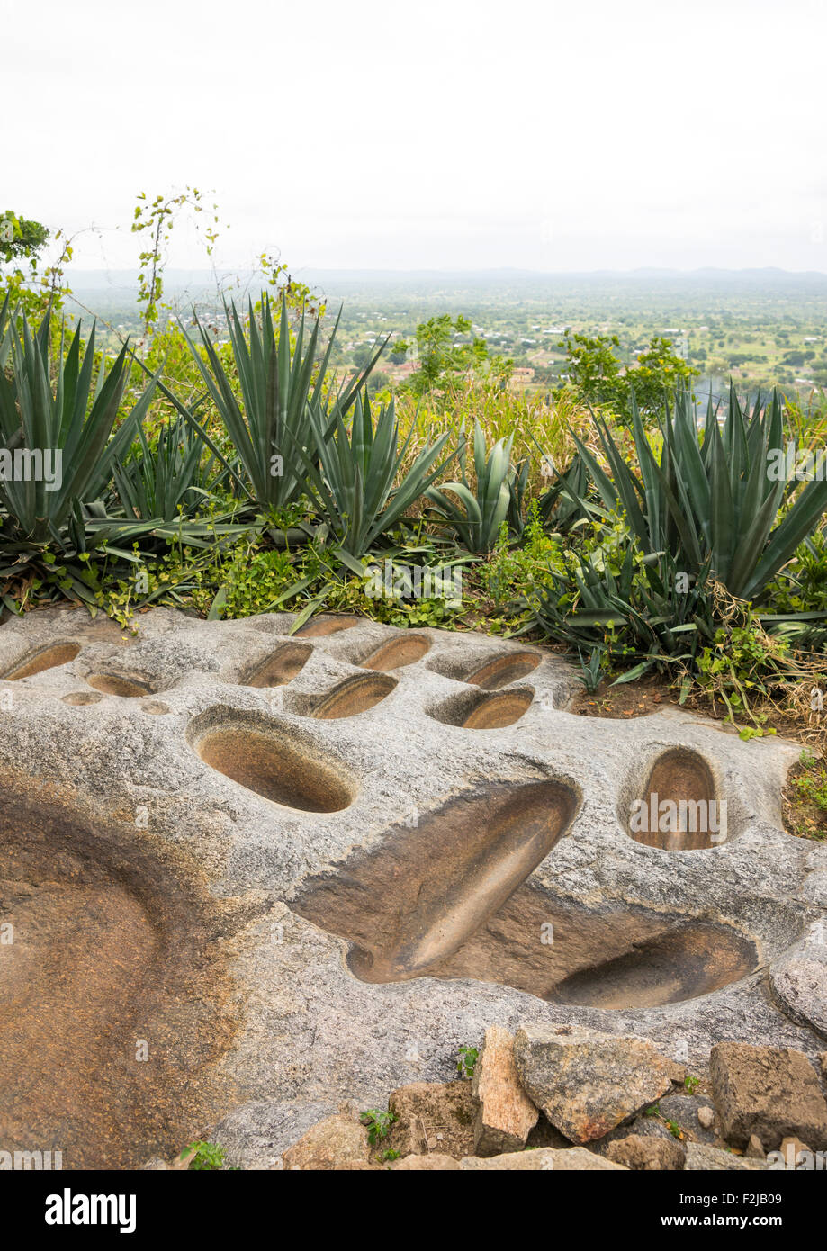 Ancient africa yam hires stock photography and images Alamy