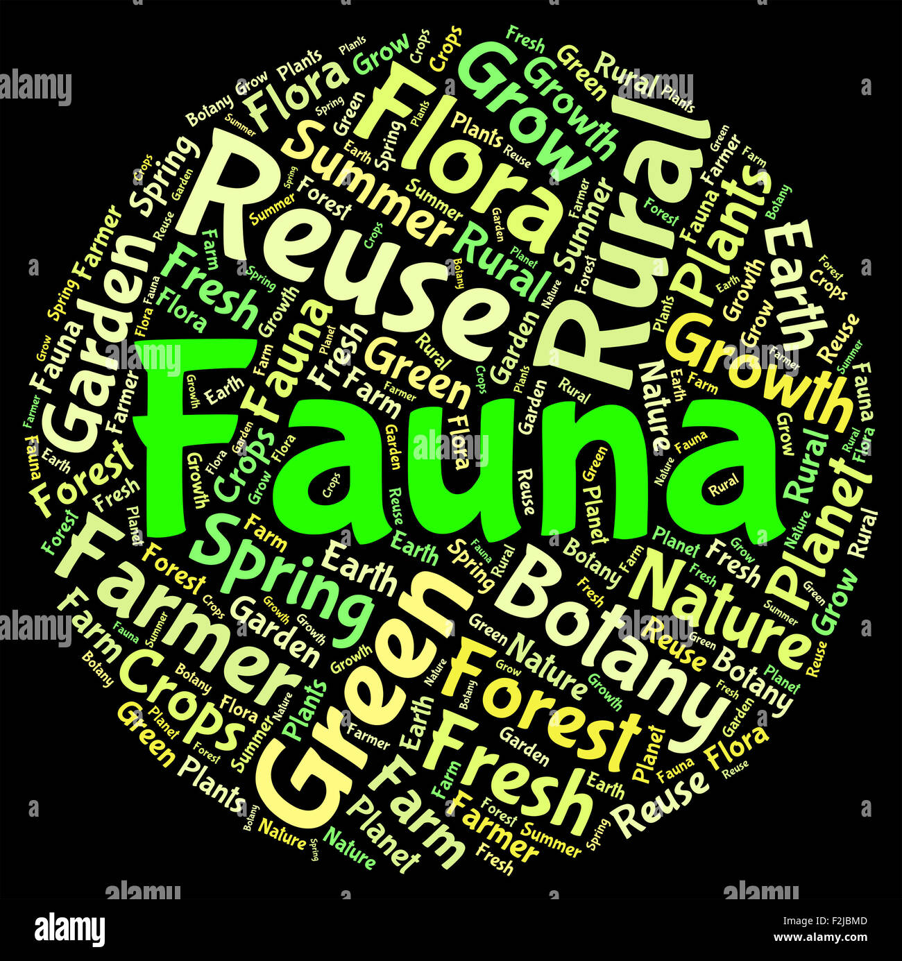 Fauna Word Representing Animal Life And Creatures Stock Photo