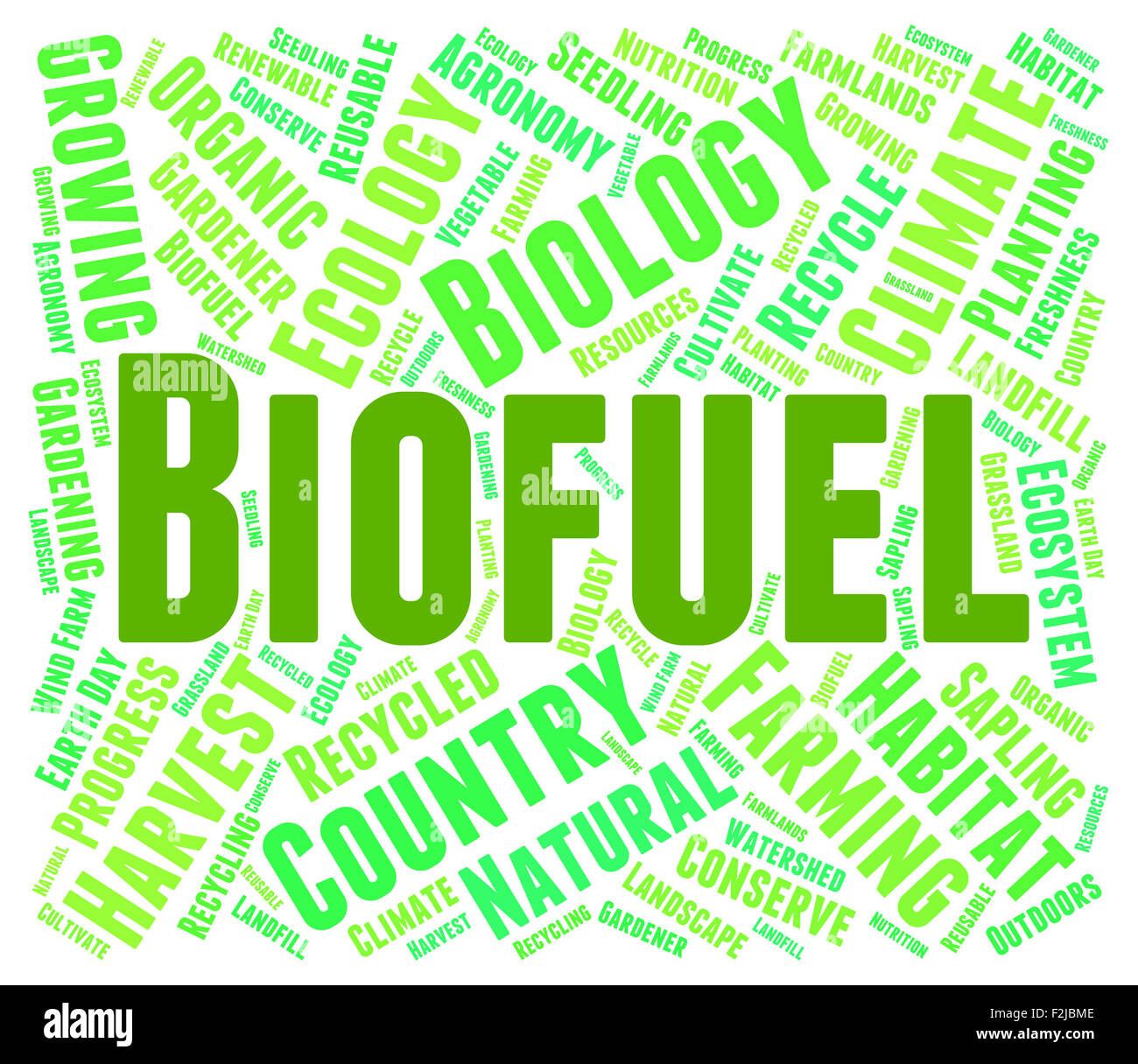 Biofuel Word Indicating Green Energy And Biofuels Stock Photo - Alamy