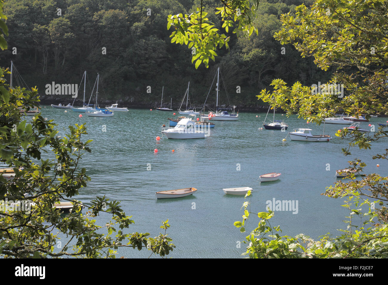 the river yealm estuary at newton ferrers in south devon Stock Photo
