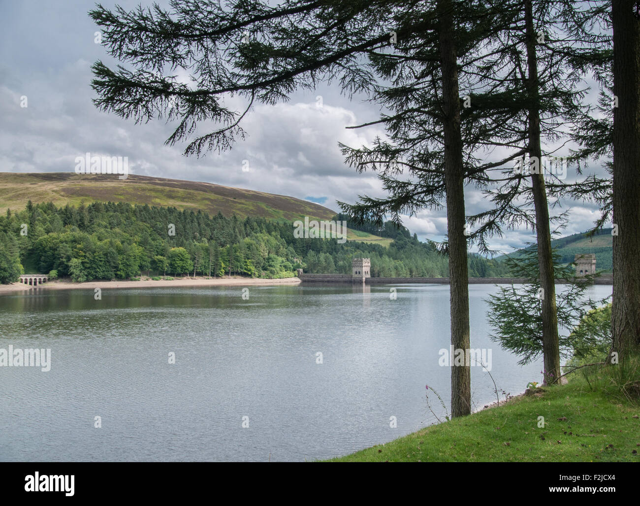 looking over the Derwent reservoir Derbyshire trough the pine trees on the great dam Ray Boswell Stock Photo